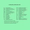 02 _Copiapoa sp.list copy